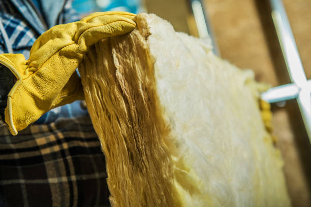 Best Cellulose Insulation in Kingsbury, NV